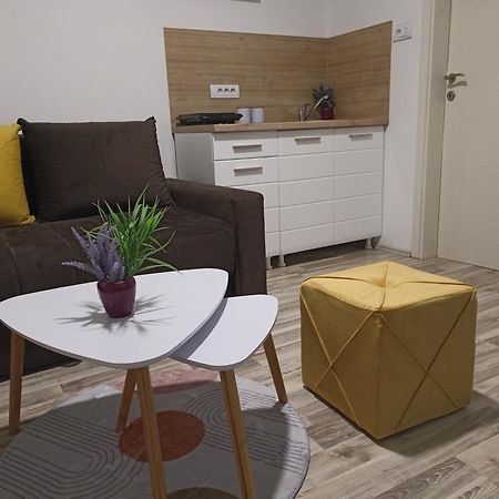 Vikendica Apartments Dunav Ms Celarevo Экстерьер фото